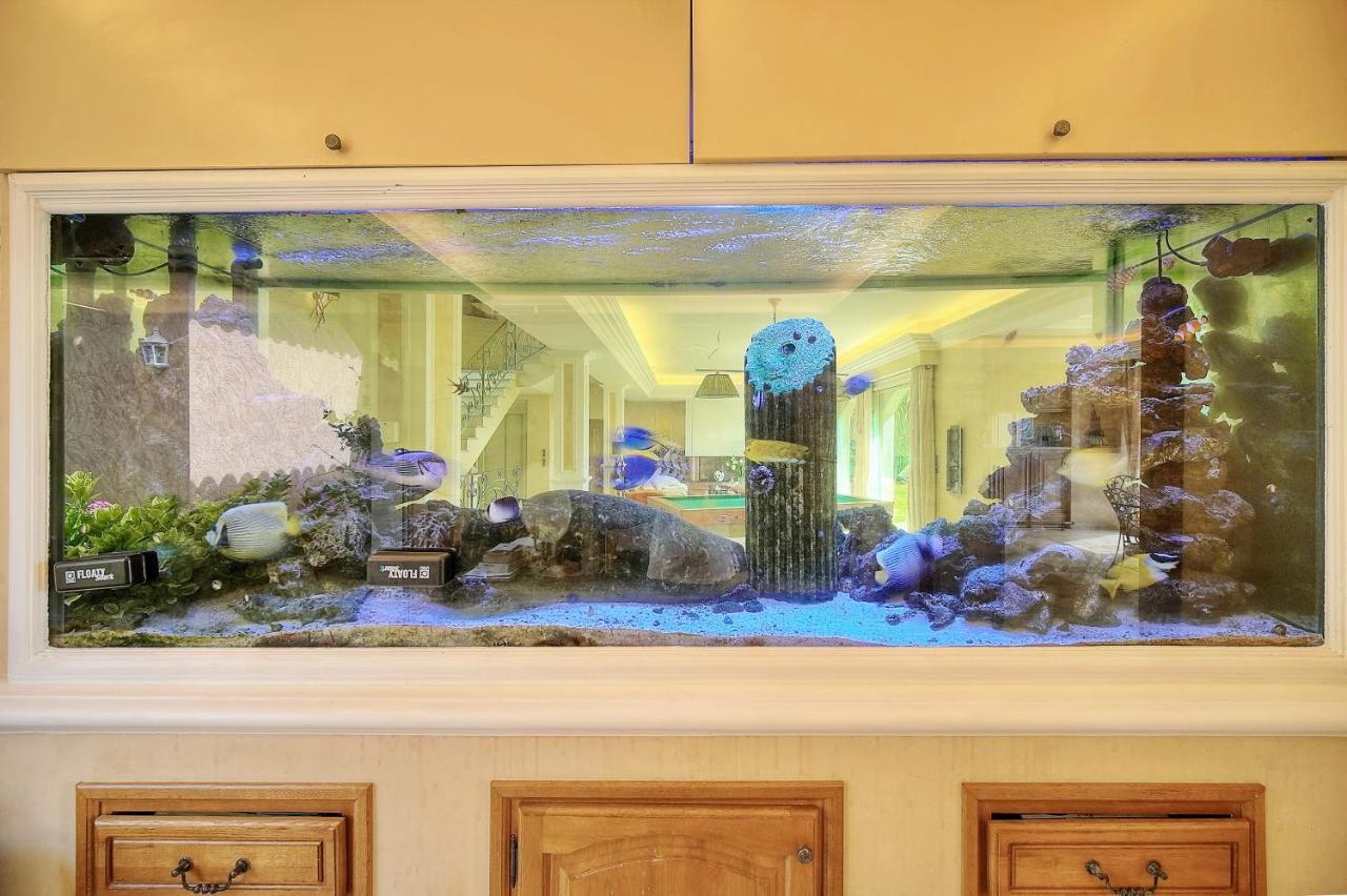 "Au Havre De Paix" 5 Etoiles Prestige Jacuzzi, Hammam, Sauna, Piscine Chauffee Mougins Cannes Grasse Εξωτερικό φωτογραφία